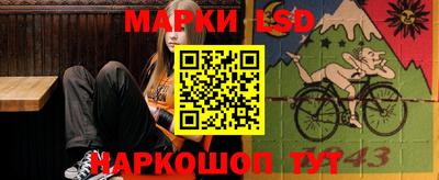 крисы Кулебаки