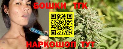 крисы Кулебаки