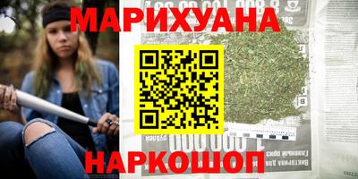 крисы Кулебаки