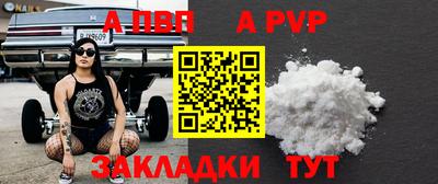 крисы Кулебаки