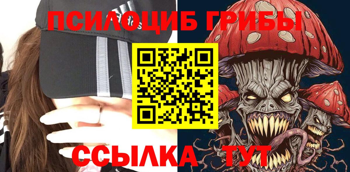 Псилоцибиновые грибы Cubensis Гусь-Хрустальный