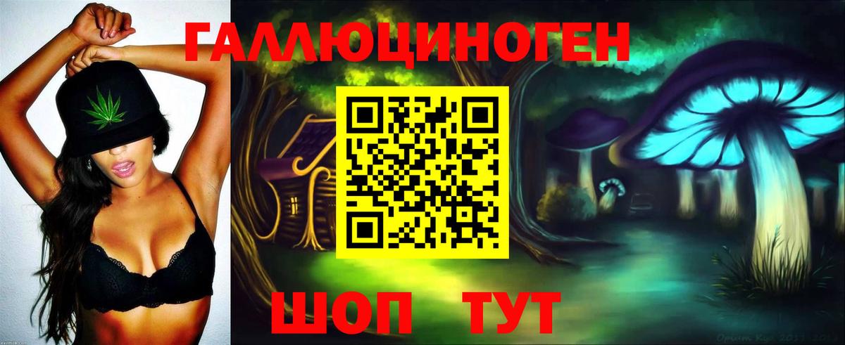 наркота  Псилоцибиновые грибы Magic Shrooms  Псилоцибиновые грибы Psilocybine cubensis  Вход с VPN  Гусь-Хрустальный 